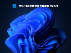Win11体验版下载_微软官方Win11 64位下载/安装/激活