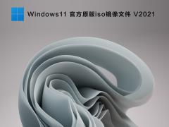 Windows11 官方原版 ISO镜像文件 V2021